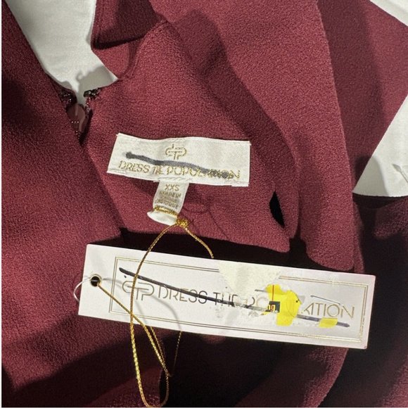 NEW Dress the Population [ XXS ] Corey Chiffon Fit‎ & Flare Dress Garnet #Q416 - Picture 3 of 12